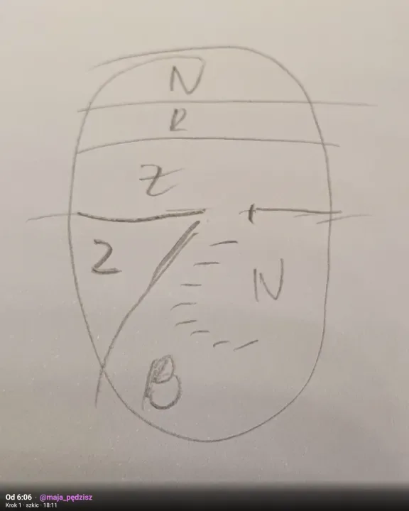 Krok 1 · szkic